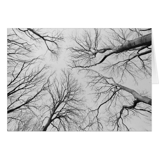 Träd utan läder i tiepvalträ hälsningskort (Framsidan Horizontal)