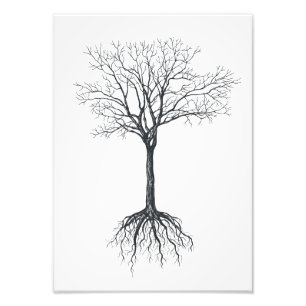 Träd utan löv fototryck