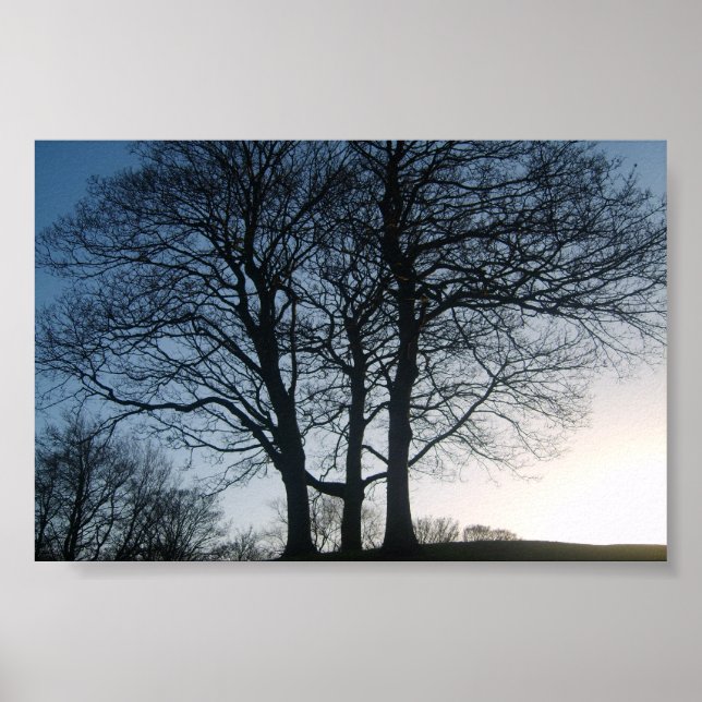 Träd vid Dusk Poster (Framsidan)