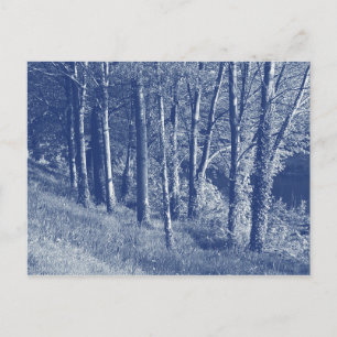 Träd vid en flod - Cyanotypeffekt Vykort