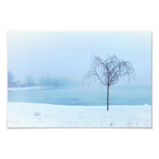 Träd vid en frusen sjö fototryck