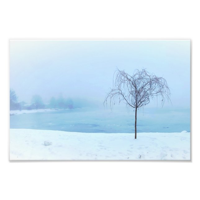 Träd vid en frusen sjö fototryck (Framsidan)