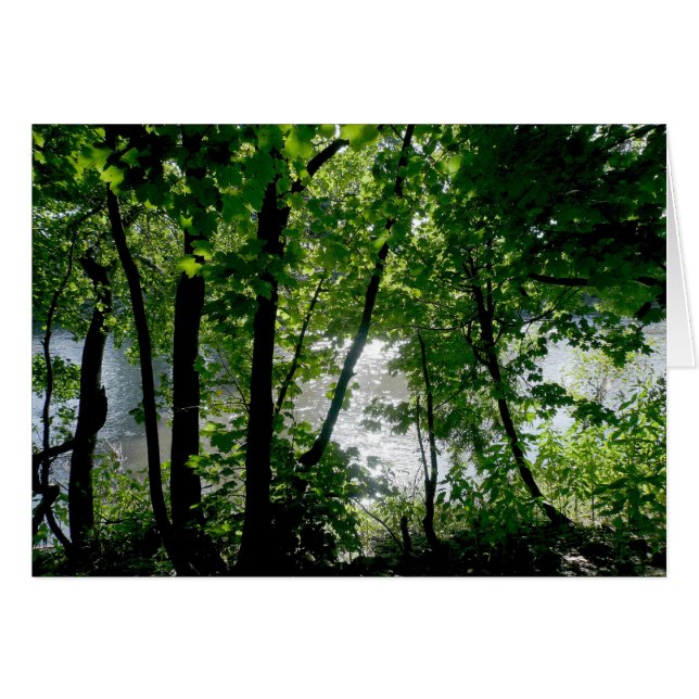 Träd vid floden hälsningskort (Framsidan Horizontal)