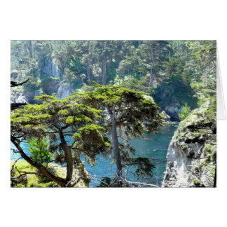 Träd vid Point Lobos OBS Kort