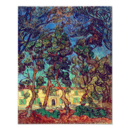Träd vid sjukhuset Garden | Van Gogh | Fototryck