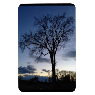 Träd vid Twilight Magnet