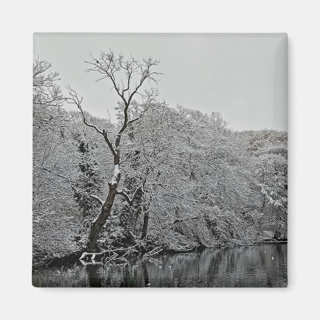 Träd, vid vatten magnet (Framsidan)