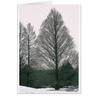 Träd - vinka backen NYC Hälsningskort