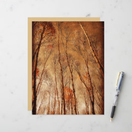 Träd Vintage Brun Orange Skog