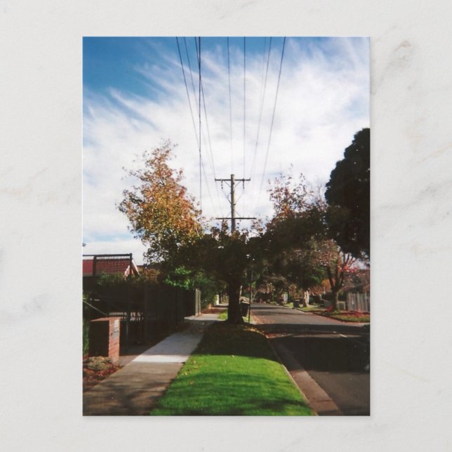 träd vykort (Framsida)