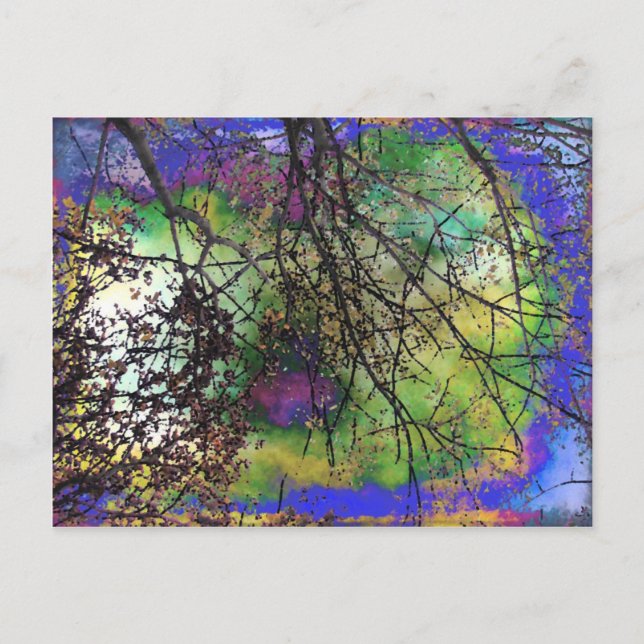 Träd Vykort (Framsida)