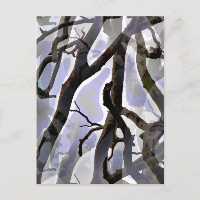 TRÄD VYKORT (Framsida)