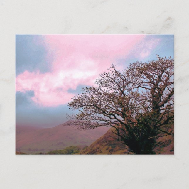 TRÄD VYKORT (Framsida)