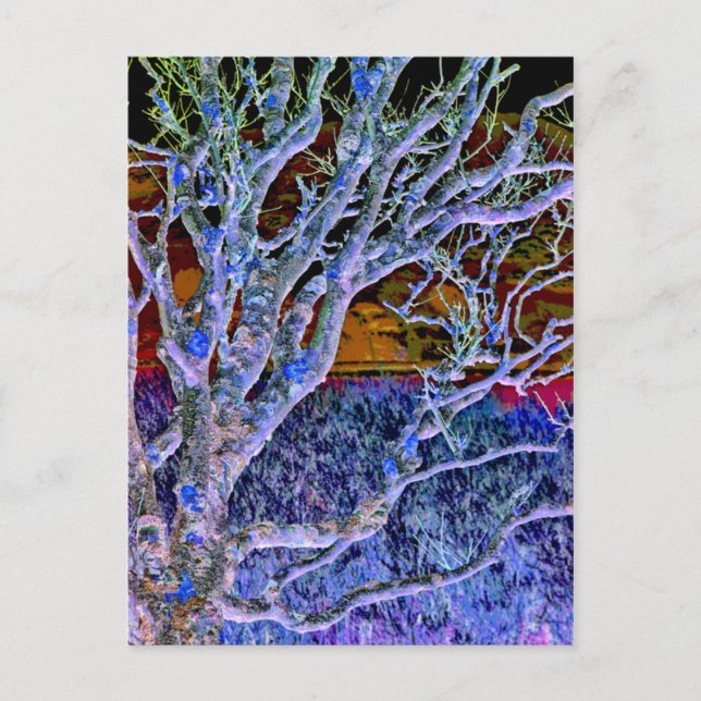 TRÄD VYKORT (Framsida)