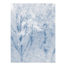 Träd Winter Nature Photo snö täckt