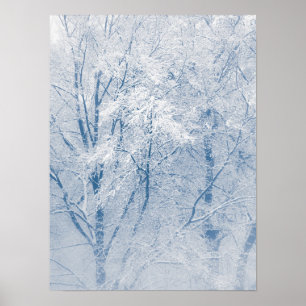 Träd Winter Nature Photo snö täckt Poster