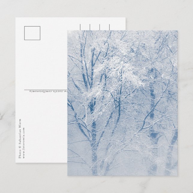 Träd Winter Photo med täckt snö Vykort (Fram/baksida)