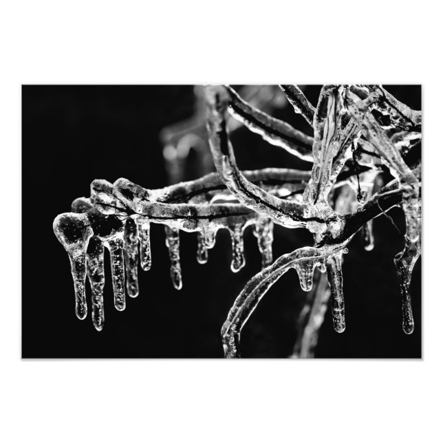 träda in isig vinter fototryck (Framsidan)