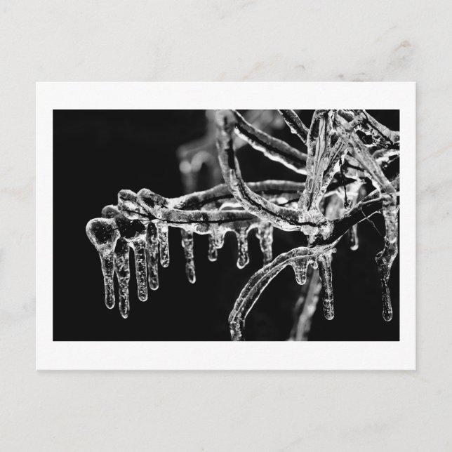 träda in isig vinter vykort (Framsida)