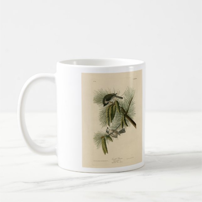 Träda (tuftade) timus Audubon Birds of America Kaffemugg (Vänster)