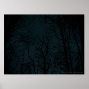 Trädaffisch för Starry natt Poster