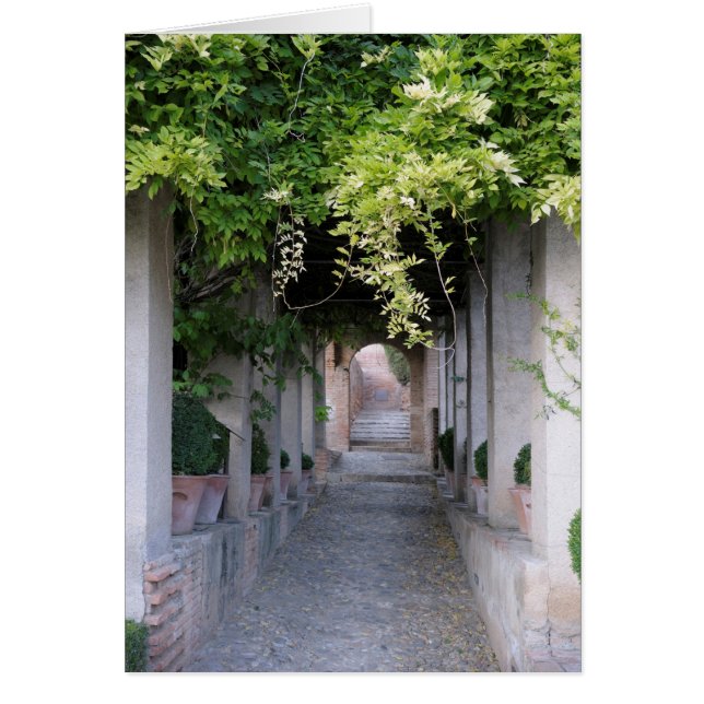 Trädbevuxen gångväg, Spanien Hälsningskort (Framsidan)