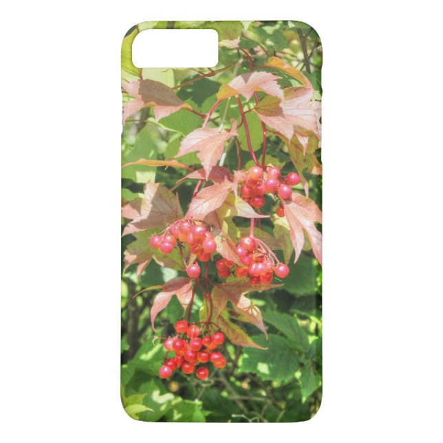 Trådblåbär Case-Mate iPhone Skal (Baksida)