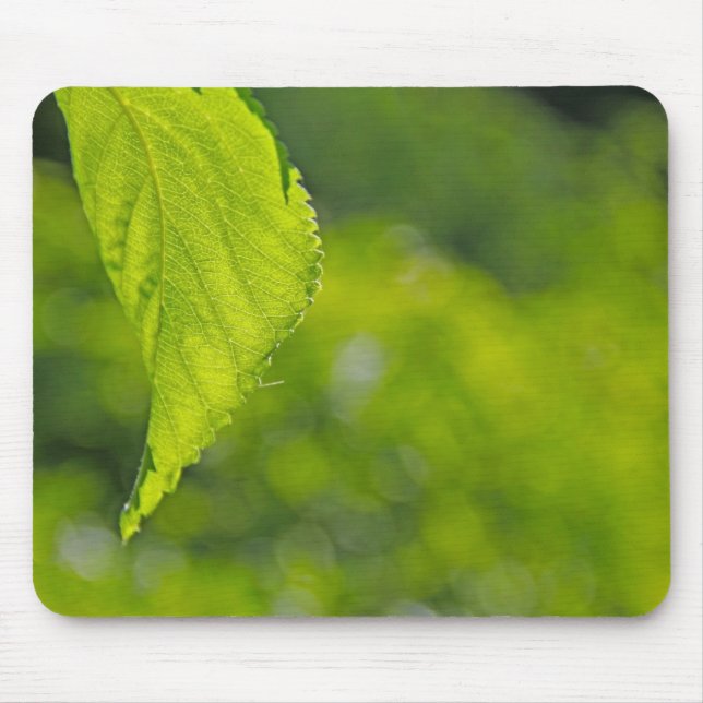 Trädblad bokeh musmatta (Framsidan)