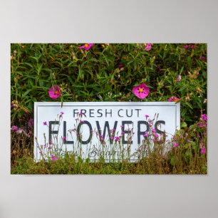 Trädblommor med friskt snittblomma 0711 poster