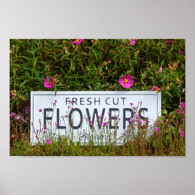 Trädblommor med friskt snittblomma 0711 poster (Framsidan)