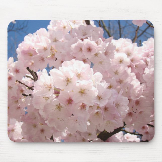 Trädblomning musmattor Fluff Rosa Blommor (Framsidan)