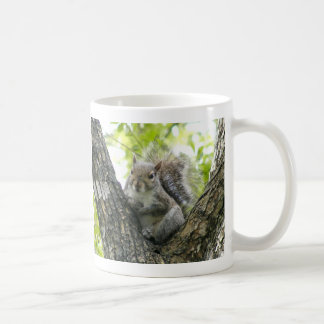 Trädekorre Kaffemugg