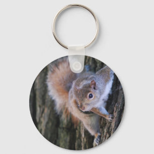 Trädekorre Keychain Nyckelring
