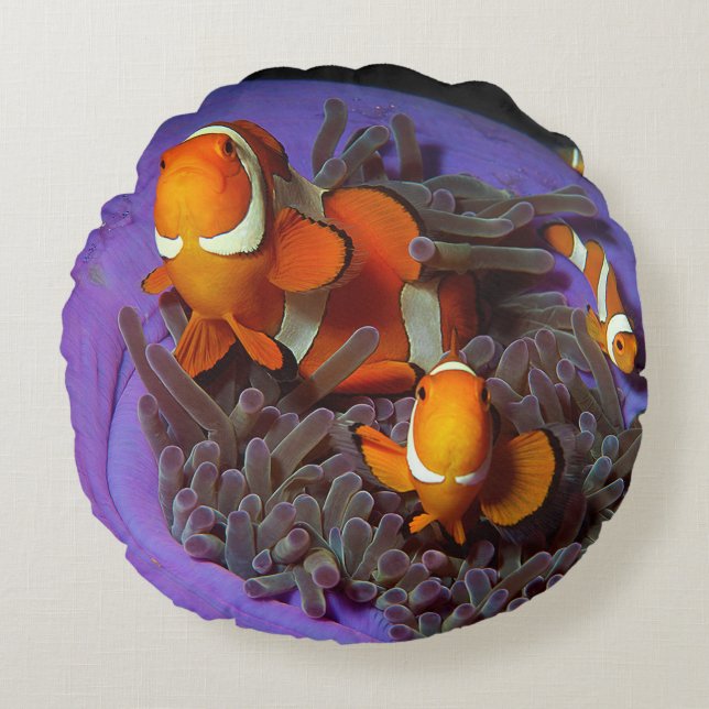 Trädfisket är alltid i rörelse | Busy Anemonefish  Rund Kudde (Framsidan)