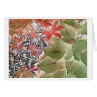 Trädgård 9 hälsningskort