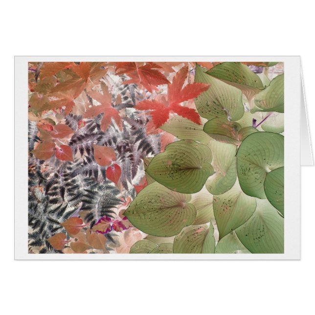 Trädgård 9 hälsningskort (Framsidan Horizontal)