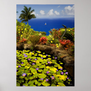 Trädgård av Eden - Maui - Hawaii Poster