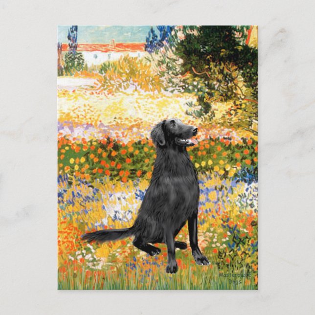 Trädgård - Flat Coated Retriever Vykort (Framsida)