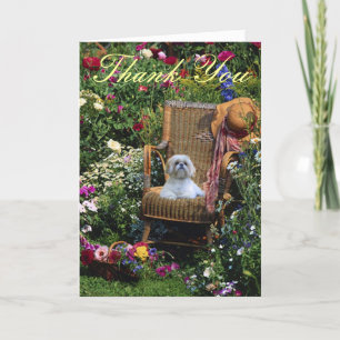 Trädgård för Shih Tzu tackkort
