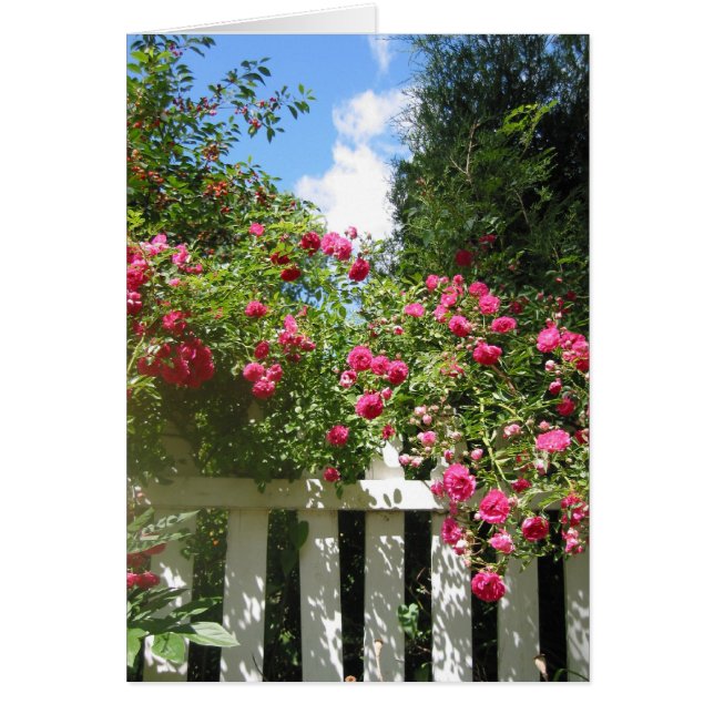 trädgård grind hälsningskort (Framsidan)