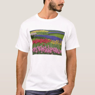 Trädgård med tulpaner, drubehyacint och t shirt