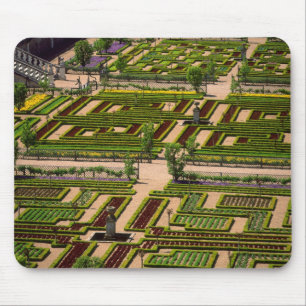 Trädgård vid Villandry Chateau, Indre-et-Loire, 2 Musmatta