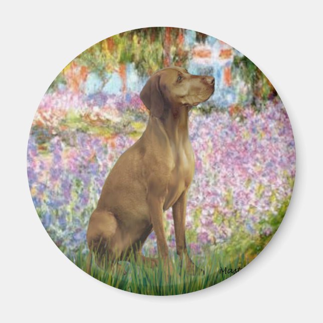 Trädgård - Vizsla 1 Magnet (Framsidan)