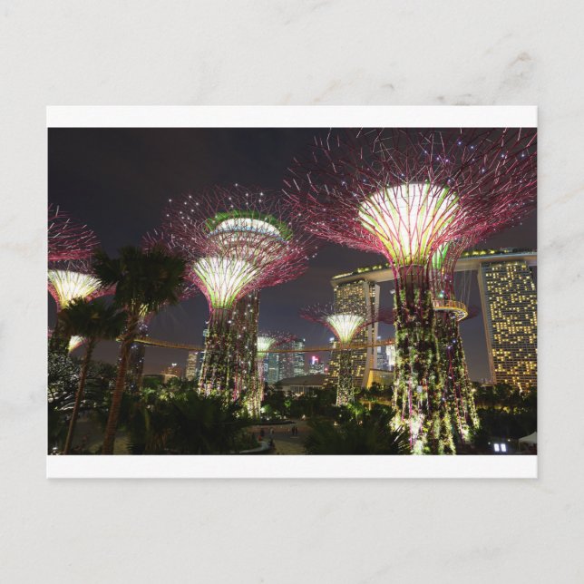 Trädgårdar vid Bay Singapore Supertree Grove Vykort (Framsida)