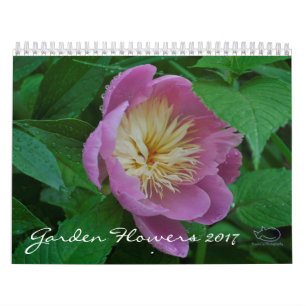 Trädgården blommar kalender 2017