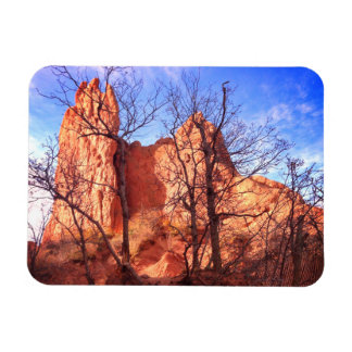Trädgården Gods Colorado Park Foto Magnet