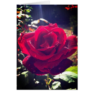 Trädgården steg hälsningskort