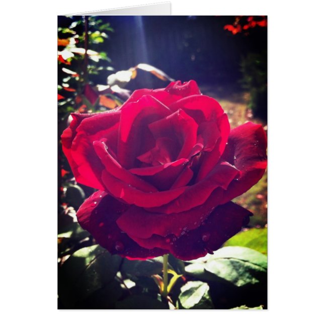 Trädgården steg hälsningskort (Framsidan)