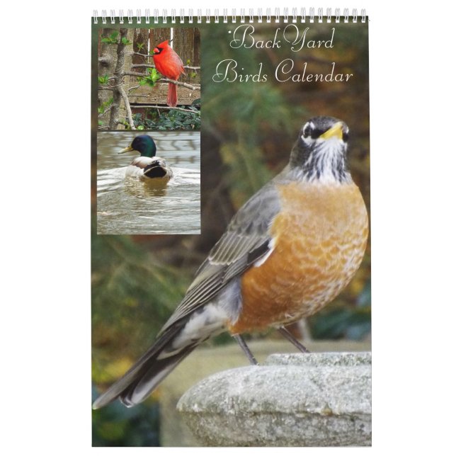 Trädgårdfågelkalender Kalender (Omslag)