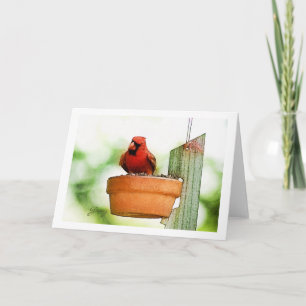 Trädgårdfåglar Notecards Kort